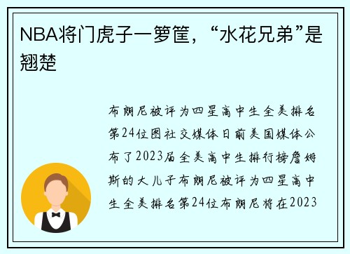 NBA将门虎子一箩筐，“水花兄弟”是翘楚