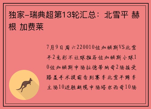 独家-瑞典超第13轮汇总：北雪平 赫根 加费莱